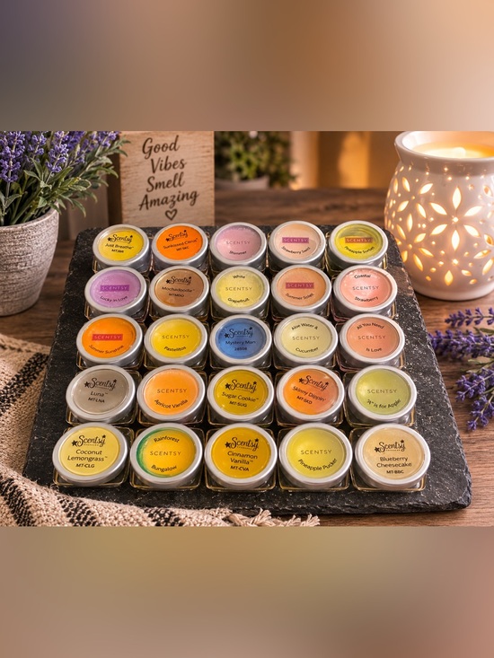 Scentsy Other - Scentsy Mini Tester Lot 25 Retired Fragrance Samples Wax Melt Bundle Set
